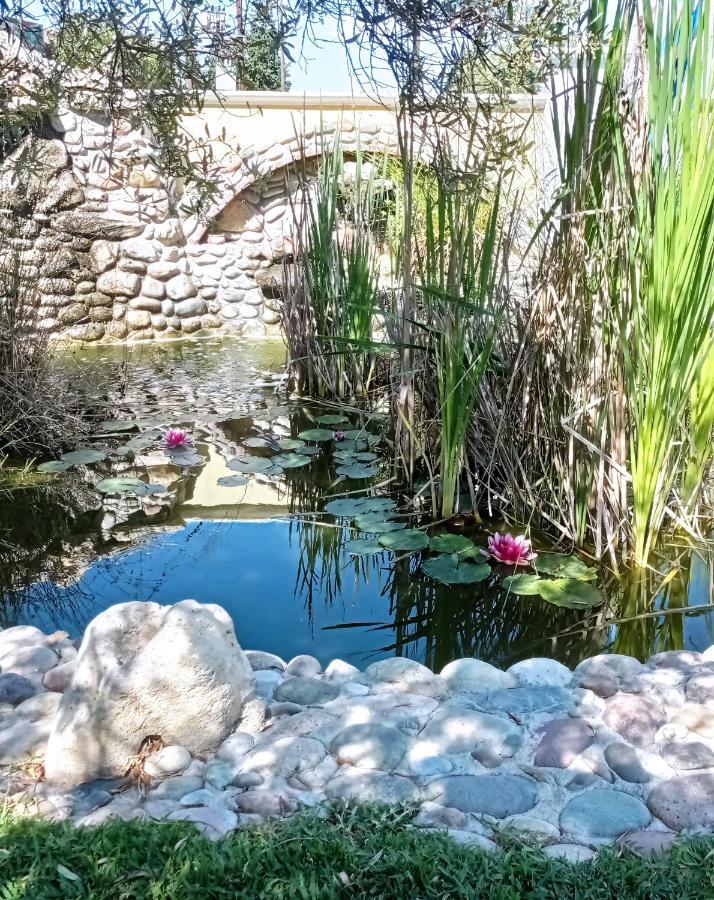 Apartments Alexandros بوليخرونو المظهر الخارجي الصورة