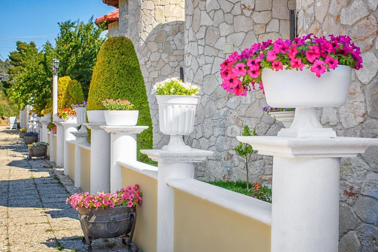 Apartments Alexandros بوليخرونو المظهر الخارجي الصورة