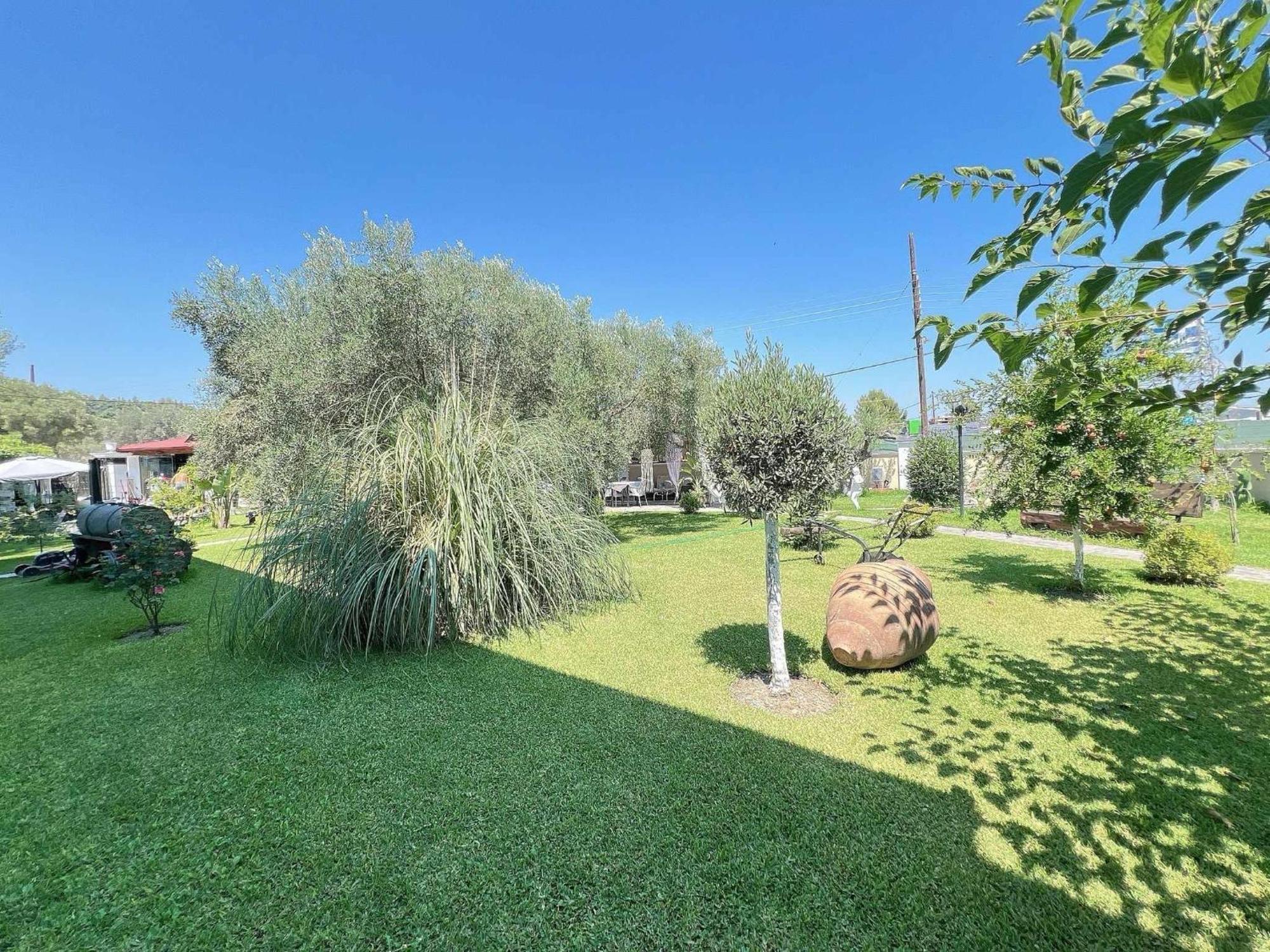 Apartments Alexandros بوليخرونو المظهر الخارجي الصورة